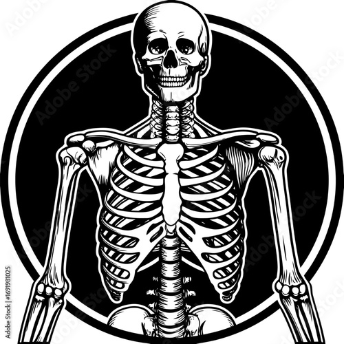 Highly detailed and anatomically accurate human skeleton standing upright in a neutral pose, viewed from the front. The skeleton should have realistic bone texture, lighting, and shading, set against 