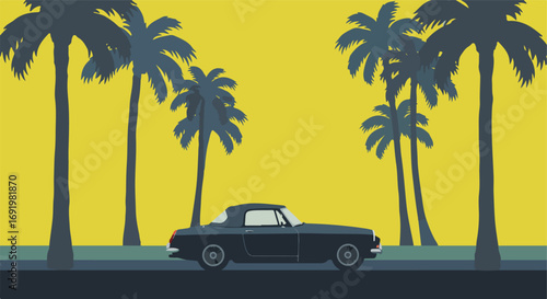 Palm trees and car