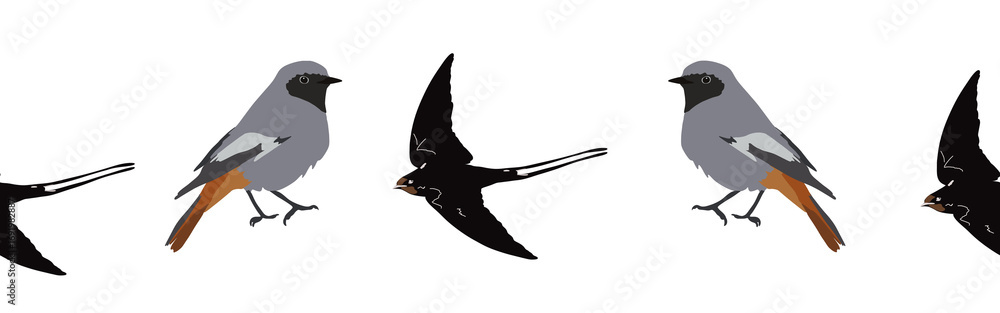 Obraz premium Bird con border. Bird feather silhouette symbol. Bird border isolated on a white background