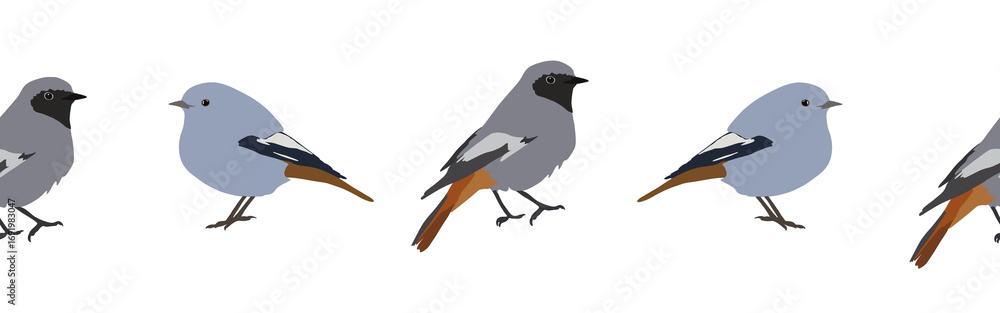 Fototapeta premium Bird con border. Bird feather silhouette symbol. Bird border isolated on a white background
