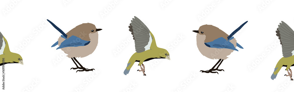 Obraz premium Bird con border. Bird feather silhouette symbol. Bird border isolated on a white background