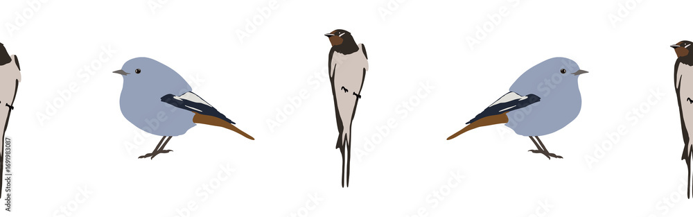 Obraz premium Bird con border. Bird feather silhouette symbol. Bird border isolated on a white background