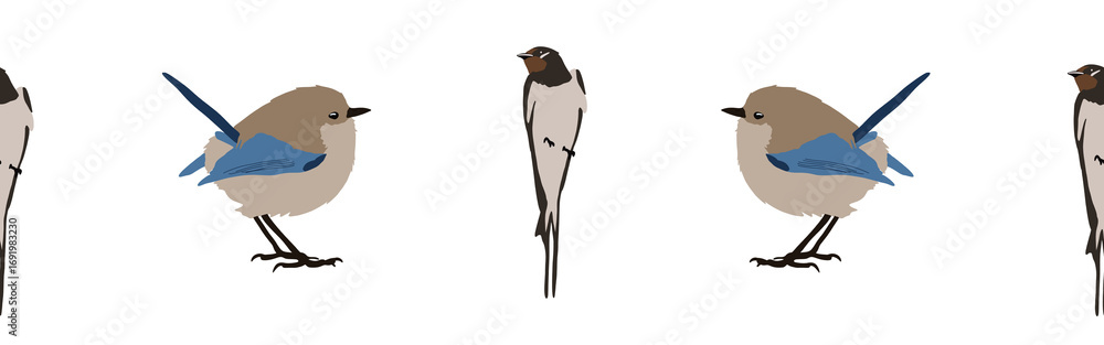 Obraz premium Bird con border. Bird feather silhouette symbol. Bird border isolated on a white background