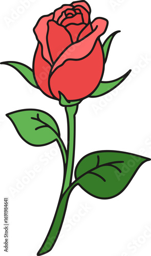red rose isolated on white