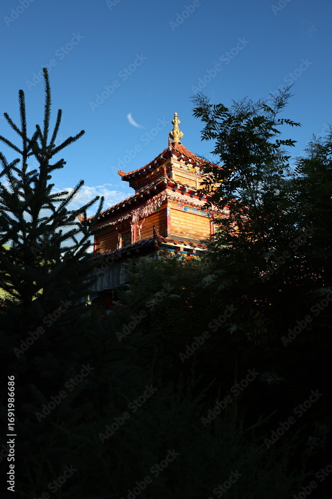 Fototapeta premium Nature, fog, environment, tibet, beauty, plant, quiet.