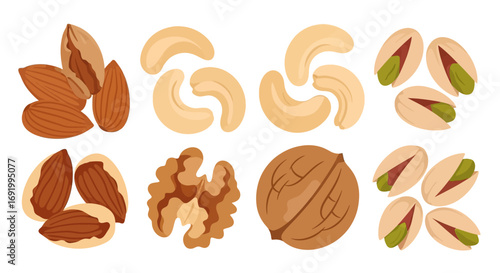 An illustration showing a variety of nuts including almonds, cashews, pistachios, and walnuts arranged on a white background.