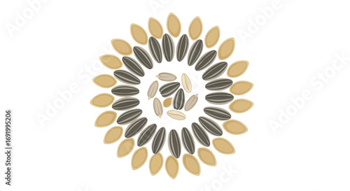 Circular pattern of arranged seeds, including sunflower and pumpkin seeds, creating a floral or mandala-like design on a white background.