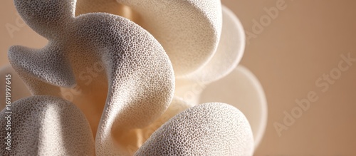 Abstract sculptural form, soft white, textured curves