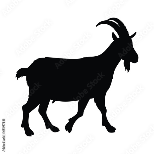 Black goat silhouette vector illustration of farm animal livestock horned mammal capra aegagrus hircus