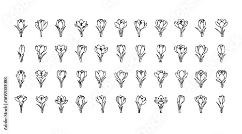 Collection of intricate floral skull designs in a striking silhouette style
