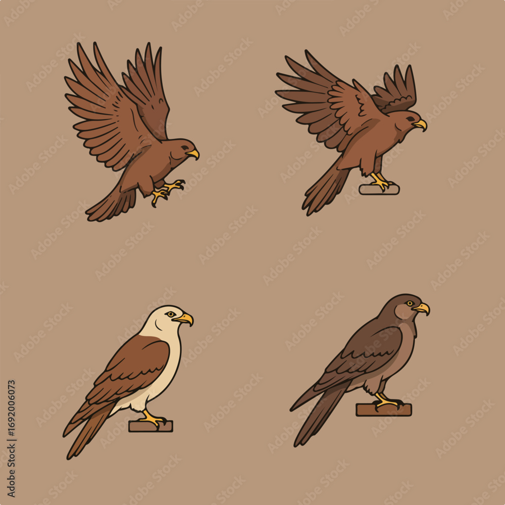 Fototapeta premium Birds Four avian poses