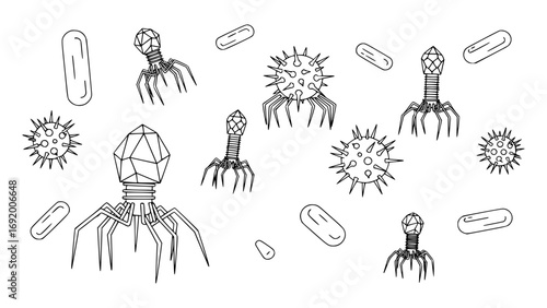 Collection of bacteriophage viruses and bacteria isolated on white background