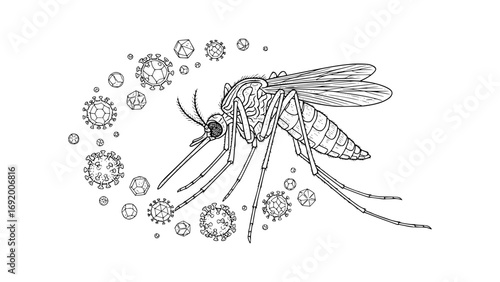 Mosquito surrounded by virus particles isolated on white background