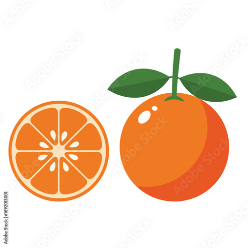 Fresh Orange Fruit and Slice Illustration.