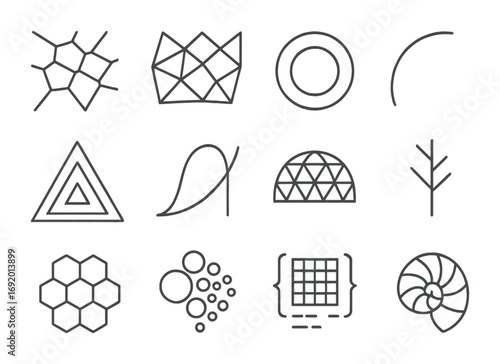Geometric Icon Grid. Outline icon set of Generative Geometry: Voronoi cell, polygon mesh, recursive circle,