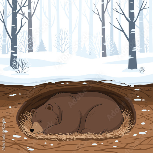 Brown bear sleeping peacefully in its winter den surrounded by snow covered trees
