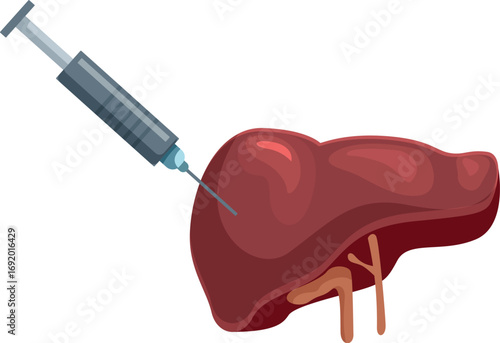 Medical syringe injecting a dose of vaccine into a healthy liver promoting liver health and disease prevention