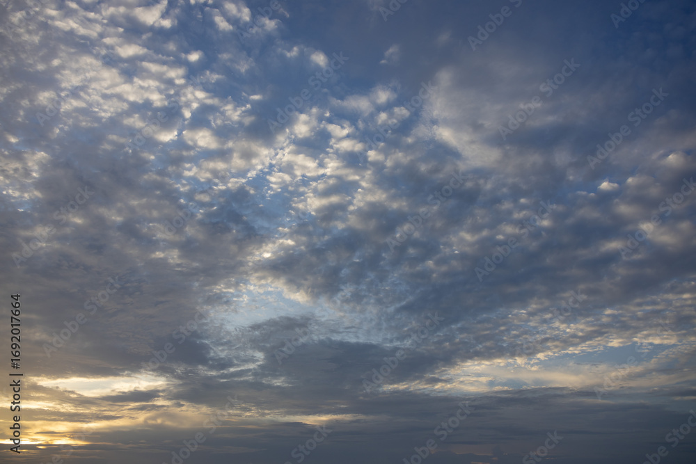 A wide shot of a sky filled with patterned altocumulus clouds, tinged A wide shot of a sky filled with patterned altocumulus clouds, tinged