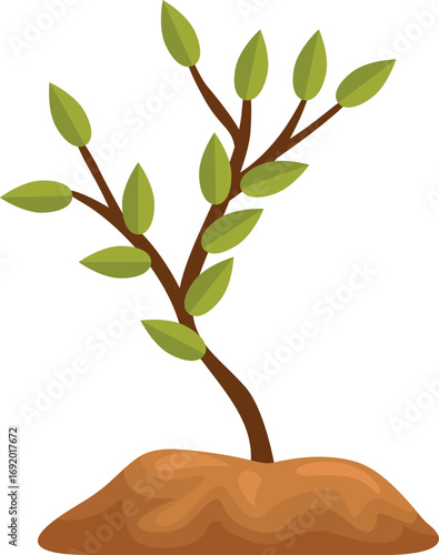 Small plant growing from a mound of dirt, representing new life, growth, and environmental concepts