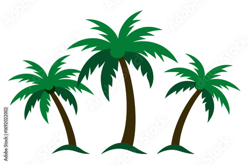 palm trees on the beach
