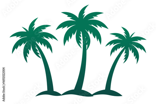 palm tree silhouette
