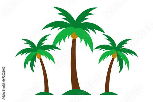 palm tree vector illustration
