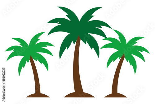 palm tree vector illustration