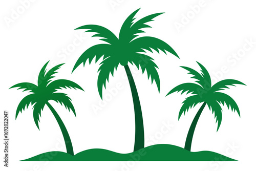palm tree vector illustration