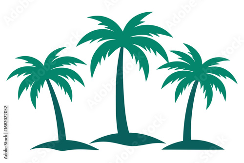 palm trees on the beach