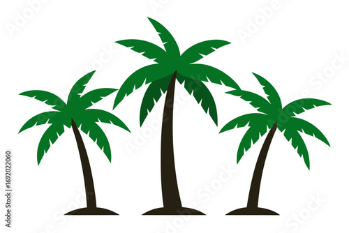 palm tree silhouette
