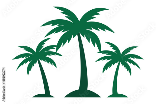 palm tree on white background