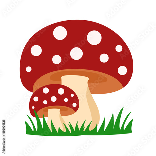 poisonous mushroom symptom. human eat poisonous mushroom.