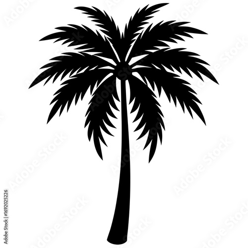 silhouette of palm trees