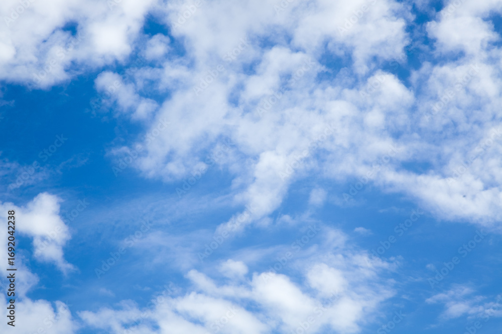 Fototapeta premium Blue Sky with White Fluffy Clouds Natural Background Landscape