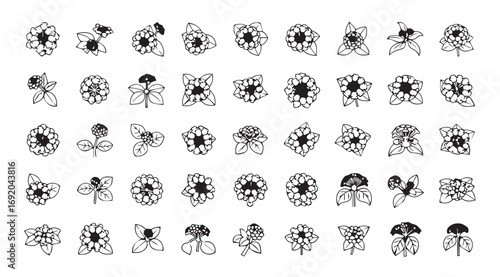 Collection of intricate abstract floral and organic shapes silhouette