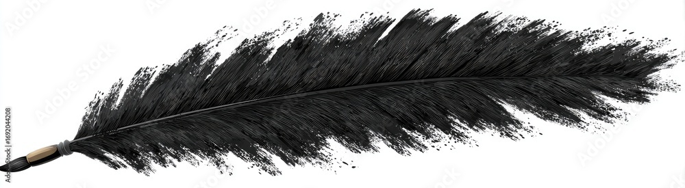 Obraz premium A single, full-length, black feather