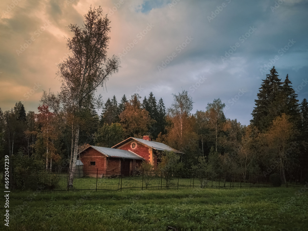 Fototapeta premium twilight landscape from the Palace Park in Gatchina