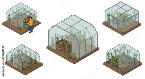 Isometric greenhouse designs featuring indoor plant cultivation and gardening activities