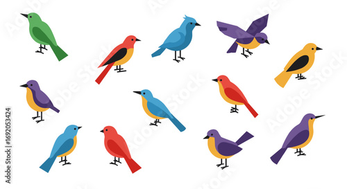 Colorful flat birds collection in minimalist style with diverse species and vibrant plumage