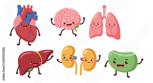 Cute cartoon human organs with happy faces and playful expressions