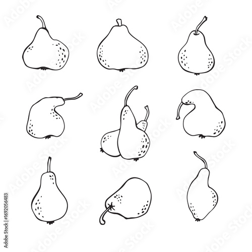 Vector outline pear, pears of various shapes, ugly pear. Design element set for logo, icon, clip art, food print. Simple and stylish. Hand drawn in doodle style. 