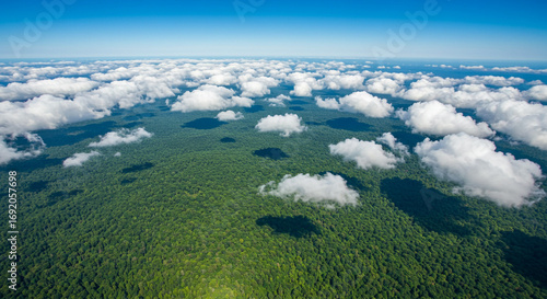 Aerial view of the Amazon rainforest with clouds above the canopy.