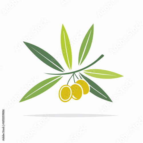 Olive branch with olives, a symbol of peace, victory, and abundance in Greek mythology and beyond