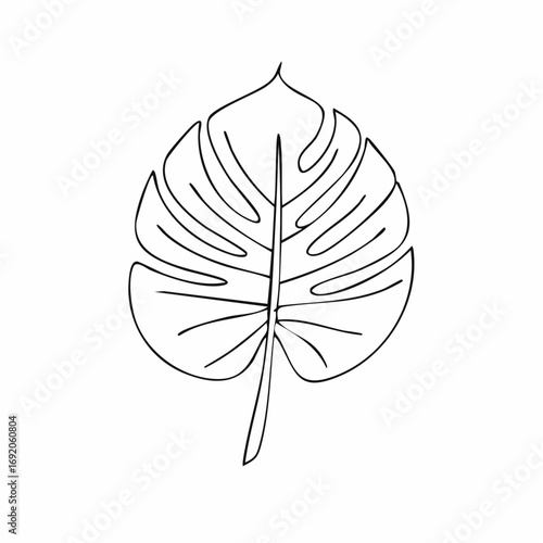 A minimalist, one-line drawing of a Monstera leaf, showcasing its iconic fenestrations and silhouette against a clean white background