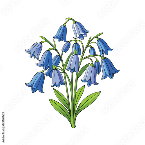 Delicate bunch of bluebell flowers artfully arranged on a clean white background for design projects