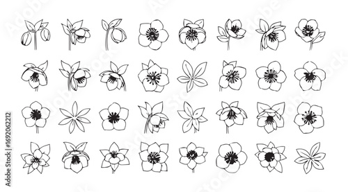 Collection of delicate hand drawn floral silhouettes in black and white