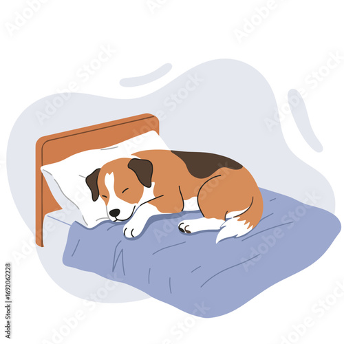 Cute dog sleeping peacefully on a cozy bed with blue blanket  