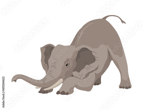 Flat vector elephant in poses African of Asian animal with large ears and long trunk. Wildlife theme