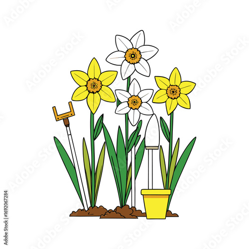 Bright yellow daffodils arranged with gardening tools on a clean white background for spring