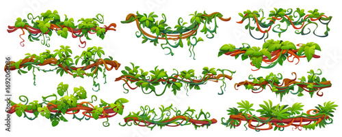 Tropical jungle forest liana vine branches intertwined and cascading with of green leaves and roots. Cartoon vector green foliage spinney, dense flora of rainforest ecosystem with climbing thickets